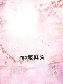 np道具文